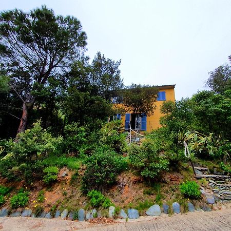Les Gites Du Cap Corse Nonza Exterior photo