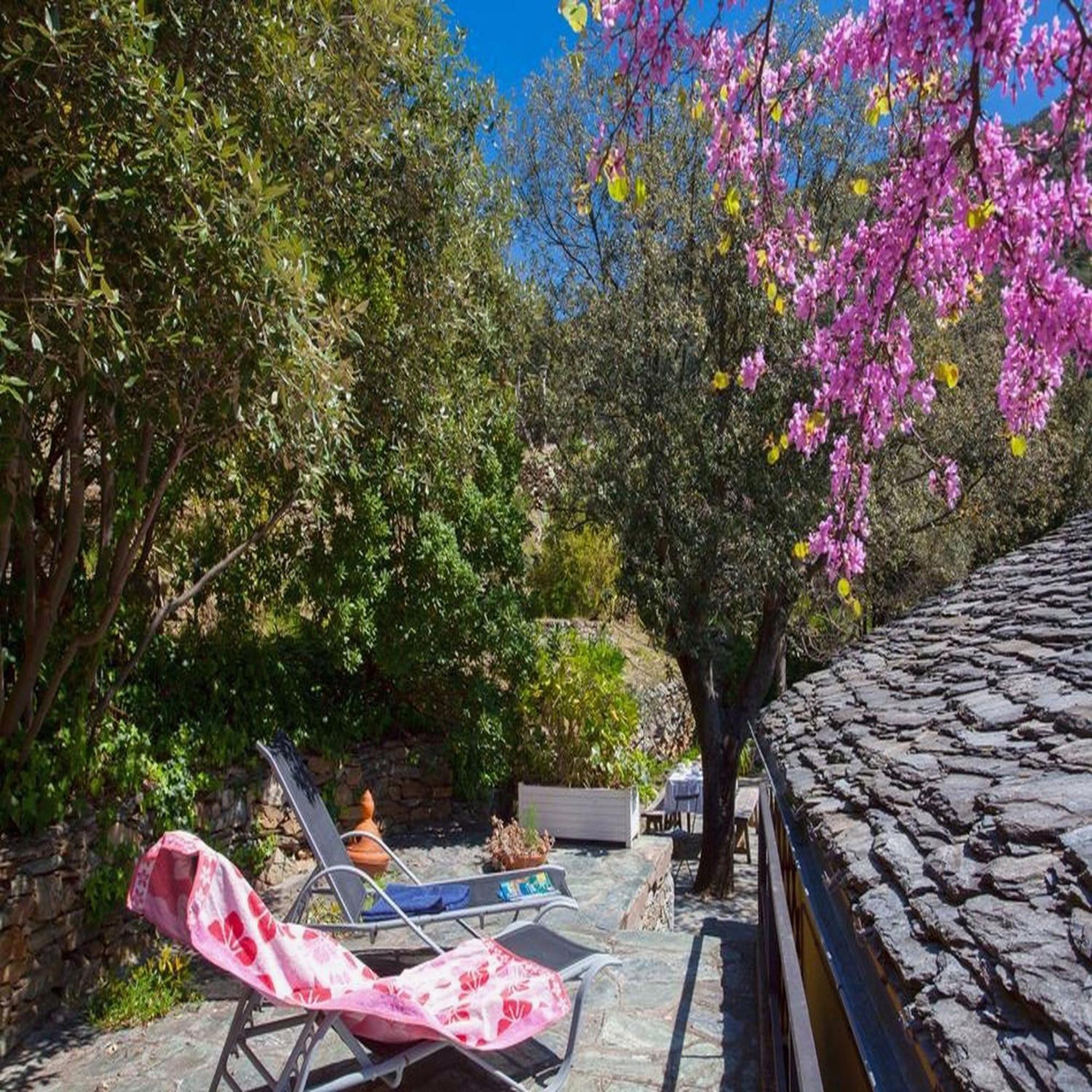 Les Gites Du Cap Corse Nonza Room photo