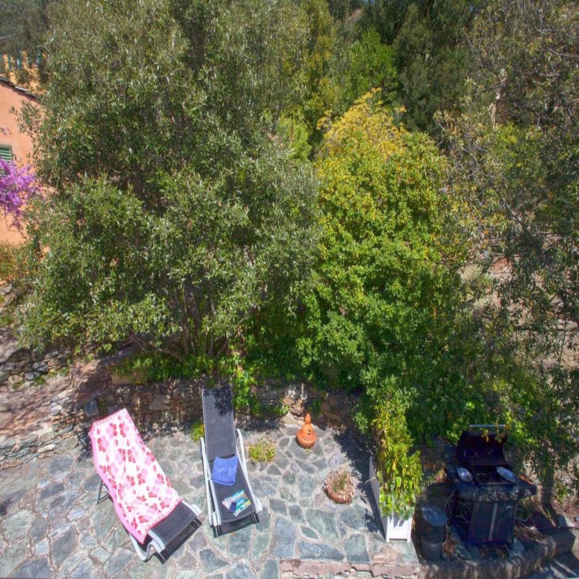 Les Gites Du Cap Corse Nonza Room photo